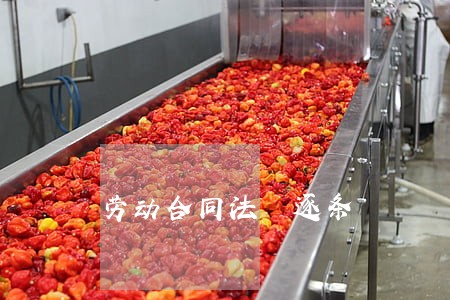 劳动合同法 逐条 劳动合同法 逐条